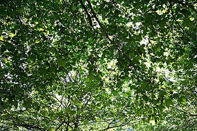 Epic喜加一：《达喀尔沙漠拉力赛》免费领取